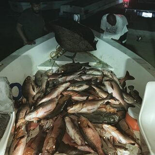 Лодочный улов у Порт-Судана: рыбалка на Красном море