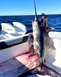 Меч-рыба с Southern Catch на выходе из Вениса в Луизиане