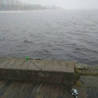 С удочкой у воды в Архангельске: береговая рыбалка в удовольствие