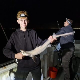 Северное море на Wiesje: девятнадцать акул днем и три после заката