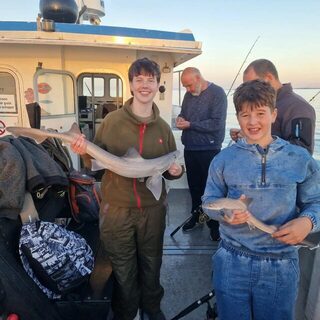 Северное море на Wiesje: девятнадцать акул днем и три после заката