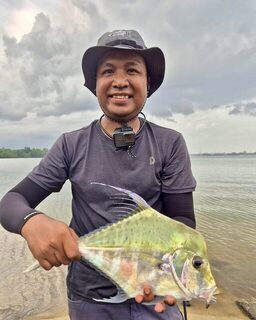 Алмазный каранкс Mimibotak на Gomu No Aji 1,6 дюйма с берега Сингапура