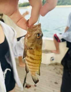 В Сингапуре на яхте отправились на морскую рыбалку