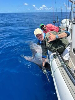 Patota Fishing отпустила голубого марлина у Флорианополиса
