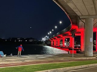 Под красным мостом в Ольбии: береговая рыбалка в выходной