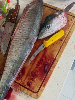 Кувейтский морской улов: поймали и подготовили рыбу