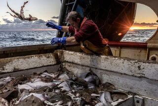 Неделя в Ирландском море на траулере Eblana из Хоута