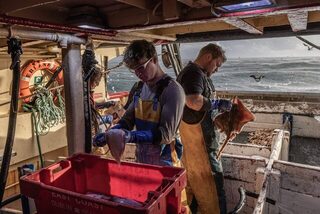 Неделя в Ирландском море на траулере Eblana из Хоута