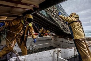 Неделя в Ирландском море на траулере Eblana из Хоута