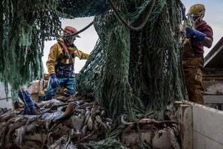Неделя в Ирландском море на траулере Eblana из Хоута