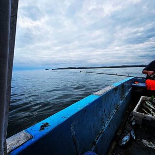 Первый морской выход в Северной Ирландии принес пару хороших рыб