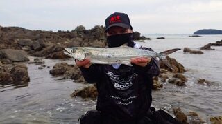 Скалы Желтого моря: японская макрель на двадцатиграммовый джиг