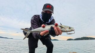 Скалы Желтого моря: японская макрель на двадцатиграммовый джиг
