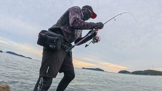 Скалы Желтого моря: японская макрель на двадцатиграммовый джиг