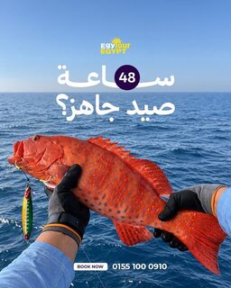 48 часов из Эль-Гуны с капитаном Сами и тремя способами ловли