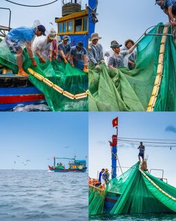 Хонйен на рассвете и закате: кошельковые сети вокруг стай анчоуса