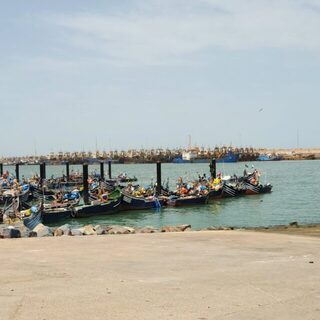 У Эль-Уатии в Тан-Тане выбрались на морскую рыбалку
