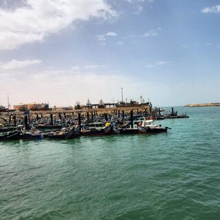 У Эль-Уатии в Тан-Тане выбрались на морскую рыбалку