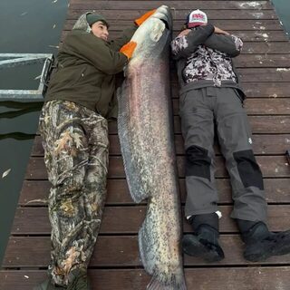 Сома Андрея Маркевича прозвали Леопольдом и отпустили в Минское море