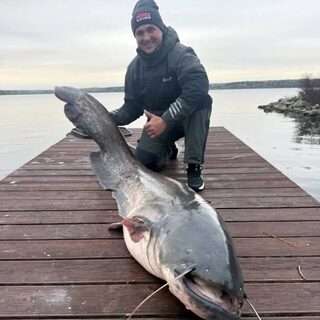 Сома Андрея Маркевича прозвали Леопольдом и отпустили в Минское море