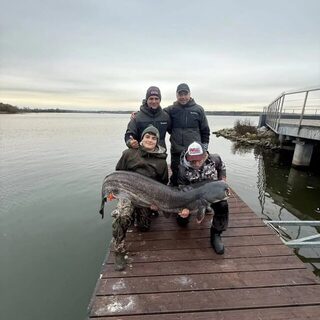 Сома Андрея Маркевича прозвали Леопольдом и отпустили в Минское море