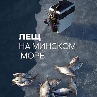 Зимний лещ Минского моря: Лосиный остров, Гонолес и Лапоровичи