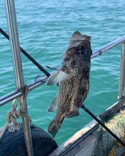 Богатый морской улов у Циндао: рыбалка в китайских водах