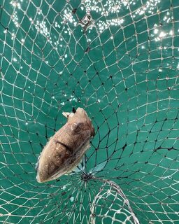 Богатый морской улов у Циндао: рыбалка в китайских водах