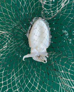 Богатый морской улов у Циндао: рыбалка в китайских водах