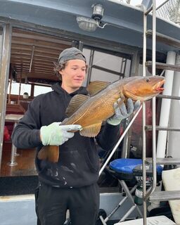 Глубоководные выходы Halifax Boat Tours у Галифакса