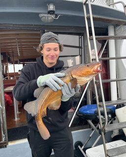 Глубоководные выходы Halifax Boat Tours у Галифакса