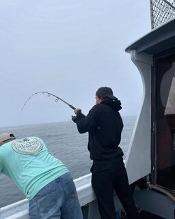 Глубоководные выходы Halifax Boat Tours у Галифакса
