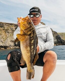 Десятифунтовый Calico Bass пополнил тройку памятных поимок Каталины