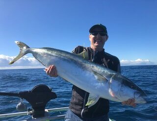 Крупный кингфиш в сиднейской морской рыбалке