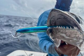 В Вануату с Dropcast Fishing взяли один из самых памятных уловов
