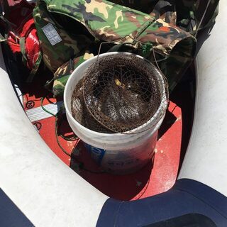 На Шаморе наконец выбрались рыбачить и попалась отборная крупная рыба