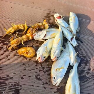 Морская рыбалка в Вэйхае оказалась увлекательнее ожиданий