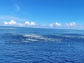 Желтоперый тунец на металлический джиг в Соломоновом море