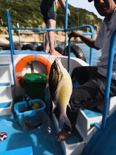 Спокойное глубокое море на рыбалке гостей в Фанранге