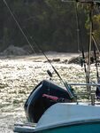 Ялунвань: первый морской иглобрюх и отпускание всего улова