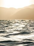Ялунвань: первый морской иглобрюх и отпускание всего улова