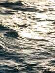 Ялунвань: первый морской иглобрюх и отпускание всего улова