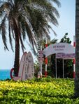 Ялунвань: первый морской иглобрюх и отпускание всего улова