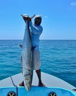 Kingfish примерно на 80 фунтов у Гладдена в Белизе