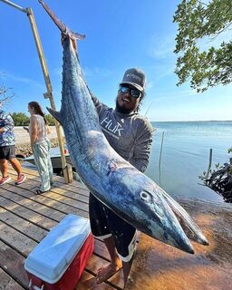 Kingfish примерно на 80 фунтов у Гладдена в Белизе