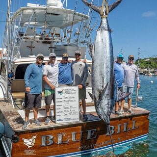 BLUE BILL взвесила голубого марлина 714 фунтов на Бермудах