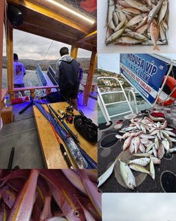 Из Богсака за морской рыбой, на лодке у берегов Мерсина