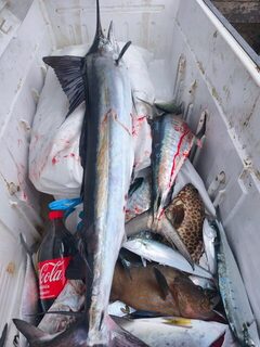 Выход на рыбалку у Пхи-Пхи запомнился морской болезнью