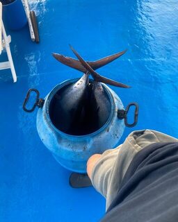 Августовский выход KN Fishing Tours в водах Ларнаки