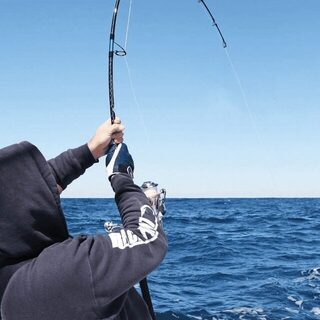364 дня морской ловли на конце пирса Клактон по годовому пропуску